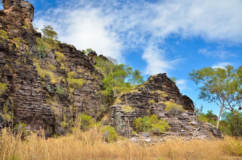 De eewenoude Outback van Evelien Captein