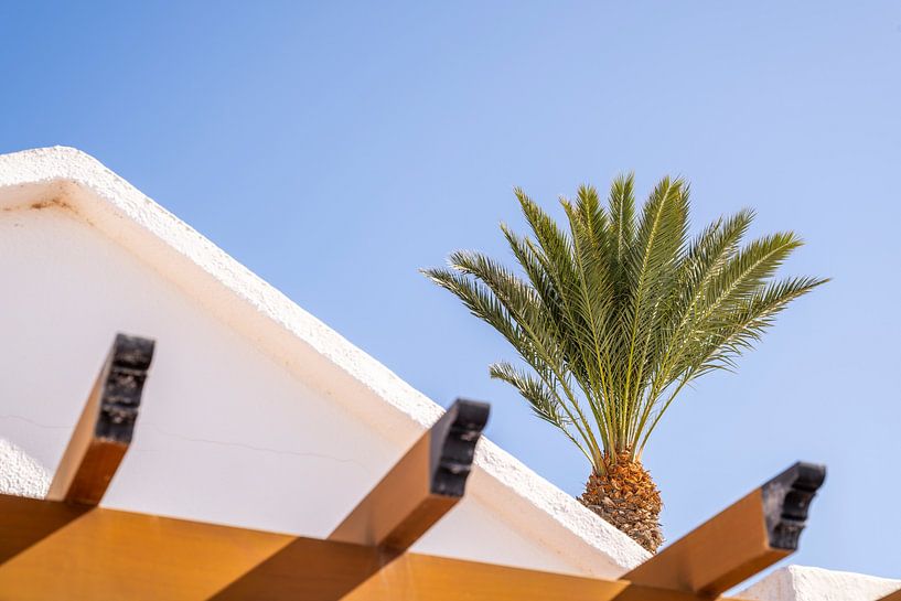 Les vacances par excellence par Nederlandschap