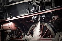 Witnesses of the past