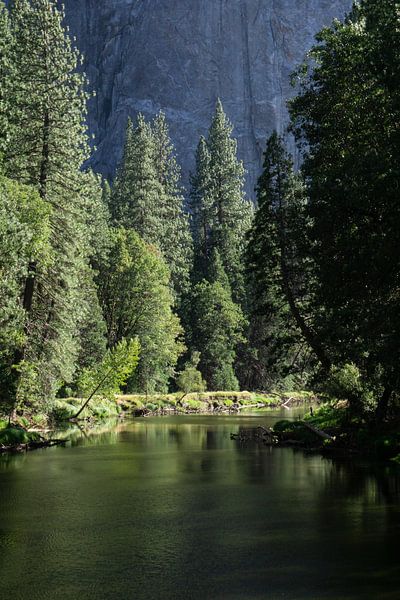 Yosemite National Park by Annabel van Wensveen