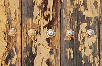 Old door with flowers.