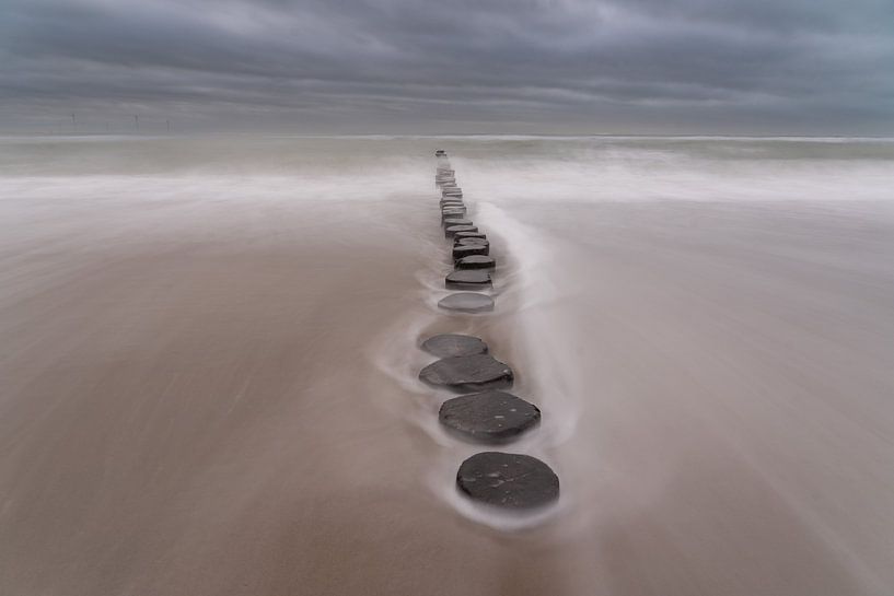 Calm in the storm by Louise Poortvliet