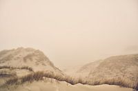 Terschelling - Kaapsduin fog