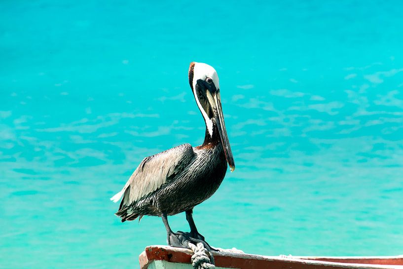 Waiting for a fish by Studio Mirabelle