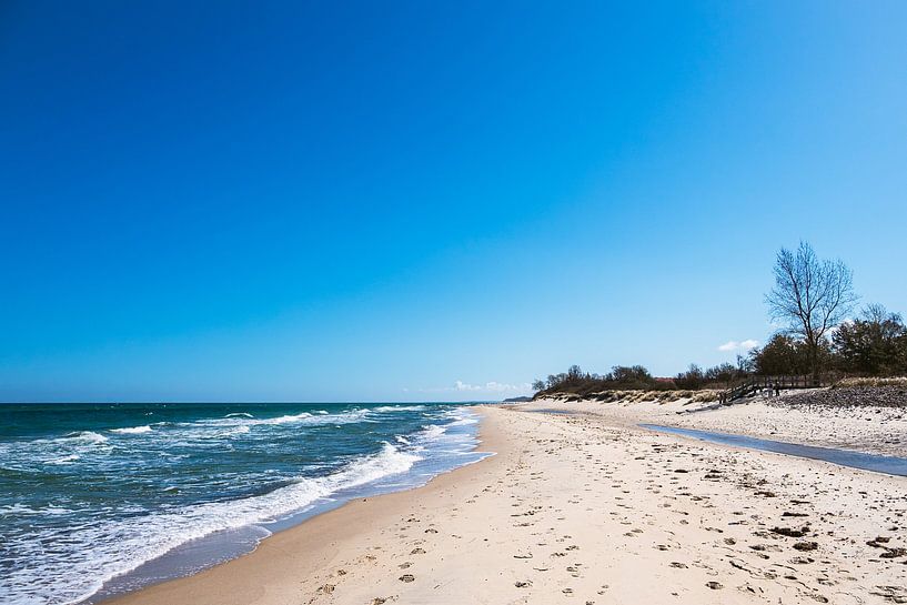 Plage au bord de la mer Baltique près de Kühlungsborn par Rico Ködder