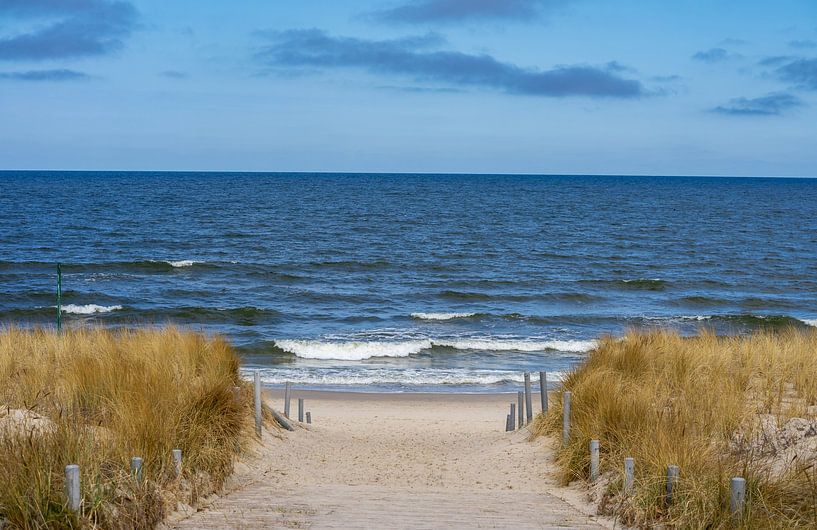 Strandweg an der Ostsee auf Usedom von Animaflora PicsStock