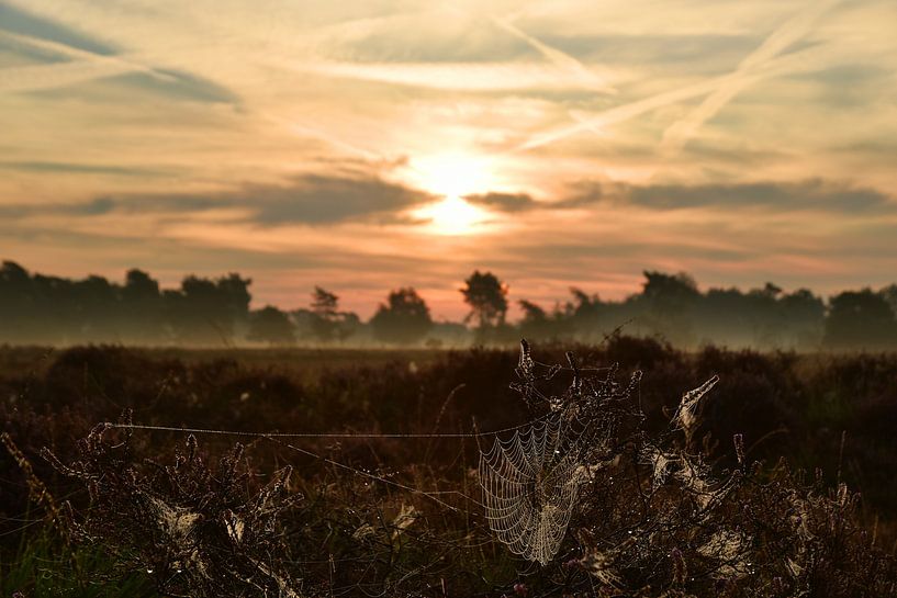 Nebel und Tau über den Mooren durch die aufgehende Sonne von Renzo de Jonge