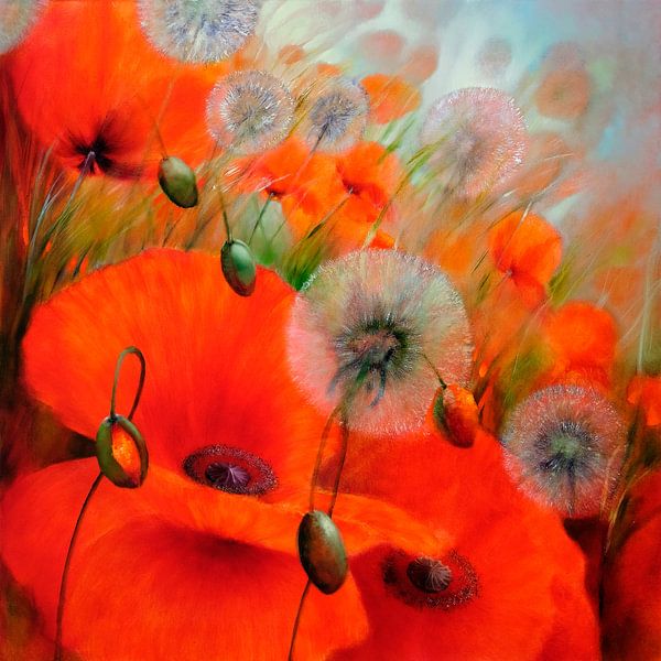 Coquelicots et pissenlits par Annette Schmucker