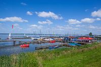 Dümmersee, Hüde, Niedersachsen, Deutschland