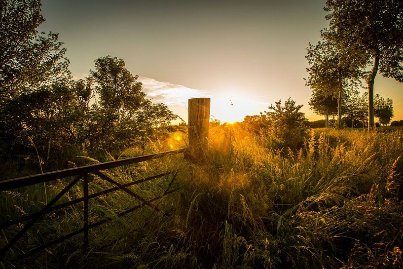 Hansweert by Anja van Ast