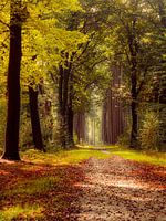 Altweibersommer auf dem Gut Velhorst