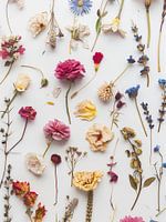 Dried flowers