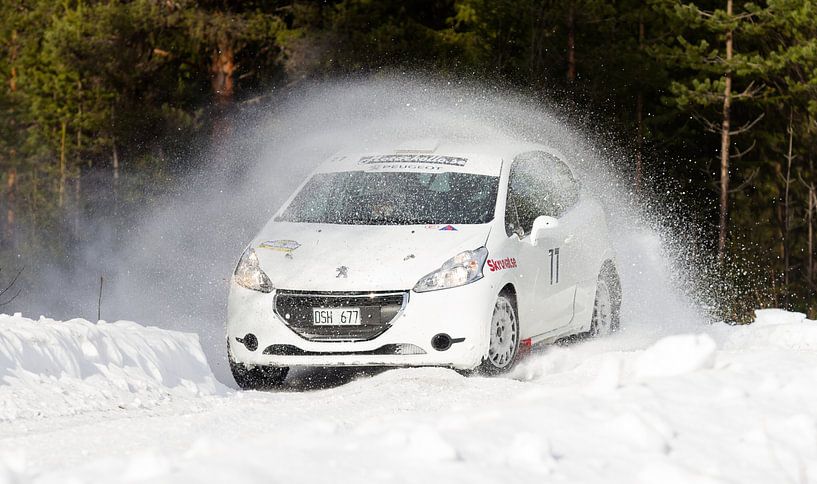Winter Rally par Hamperium Photography
