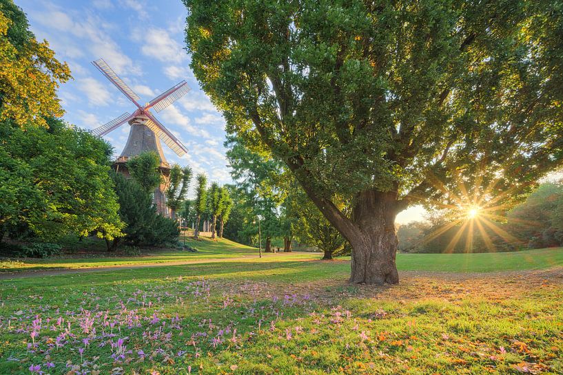Mill on the Wall in Bremen by Michael Valjak