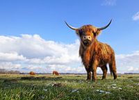 Der letzte Schnee - Highlander