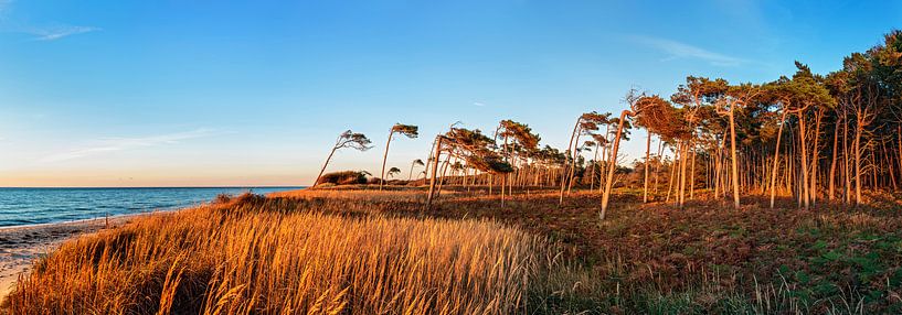 Abendstimmung am Esper Ort von Daniela Beyer