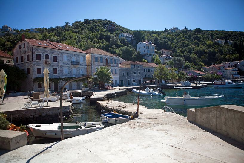 Rose - Montenegro by t.ART