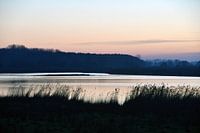 L'hiver dans le Braakman, une réserve naturelle en Zeeuws-Vlaanderen (4)