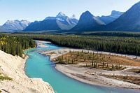 Icefield Parkway Parc national de Jasper
