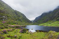 Gap of Dunloe - Killarney (Ireland)