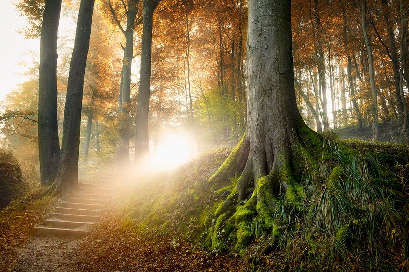 Stairway to Heaven by Arjen Roos