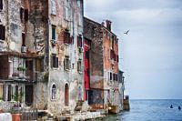 Côte intemporelle - Rovinj au bord de la mer