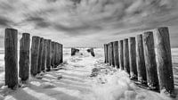 Golfbrekers aan Zeeuwse kust in zwart-wit