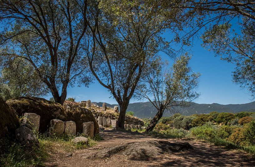 Menhire von Johan Vet