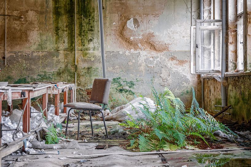 Il s'agit de photos que l'on ne peut pas classer - elles sont simples et faciles à utiliser. par Gentleman of Decay