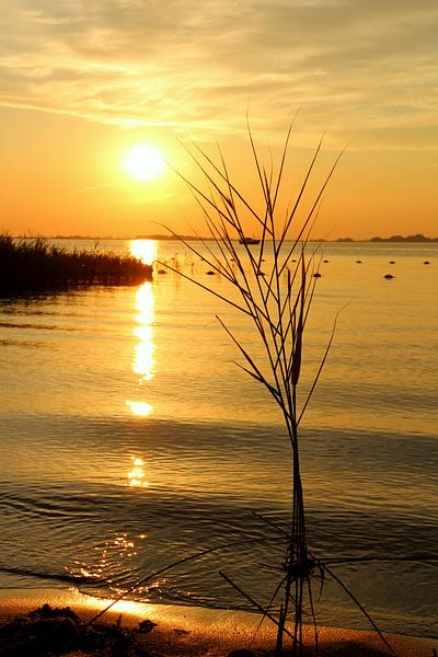 Träumen auf dem See. von Fotografie Sybrandy