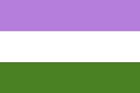 Genderqueer Pride Flag'