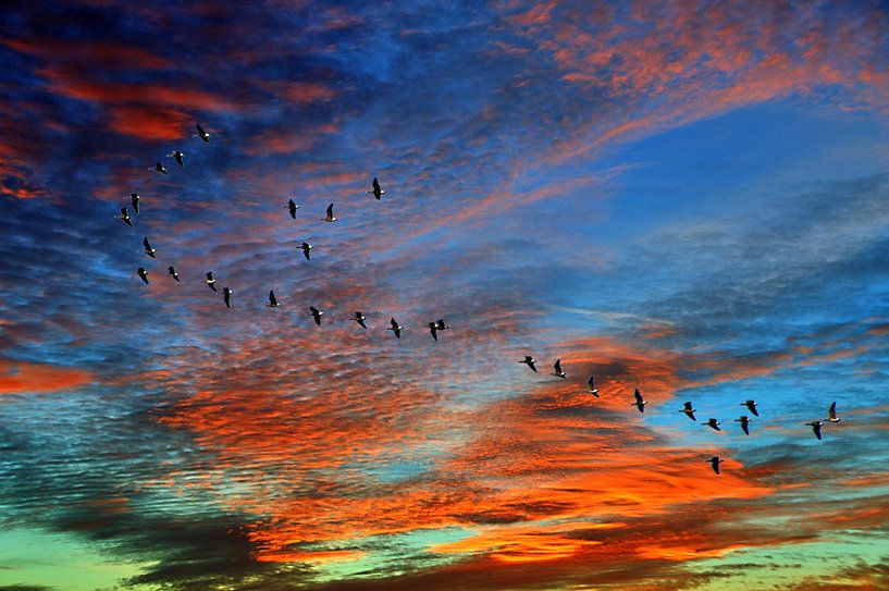 Des oies dans le ciel du soir par Edgar Schermaul