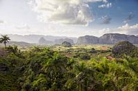 Tal in Vinales, Kuba, umgeben von Bergen mit einem bewölkten Himmel im Hintergrund.