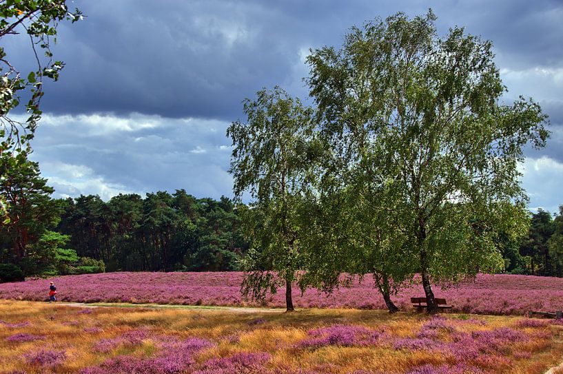 Marche de la lande 2 par Edgar Schermaul