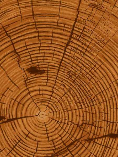 Lebensjahre von Studio Carper