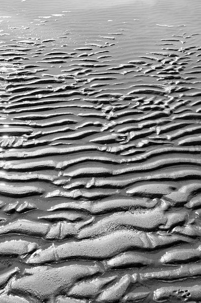 Ripples in the sand by Rob Donders Beeldende kunst