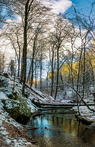 Karlstal Gorge von Sven Frech