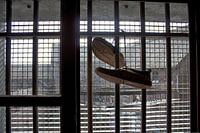 Zum Trocknen aufgehängt