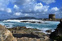 Torre della Pelosa - Sardinien