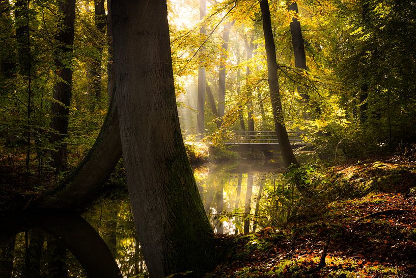 Oelerbeek Hof van Twente by Martijn van Steenbergen