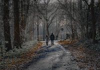 Auf dem Weg in den Wald