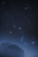 Orion über dem Nebelwald