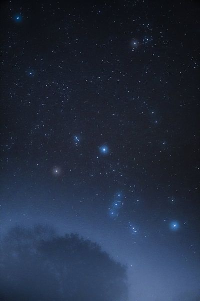 Orion über dem Nebelwald von Bastis Photos