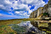 Die prächtigen Kalkruinen der Normandie