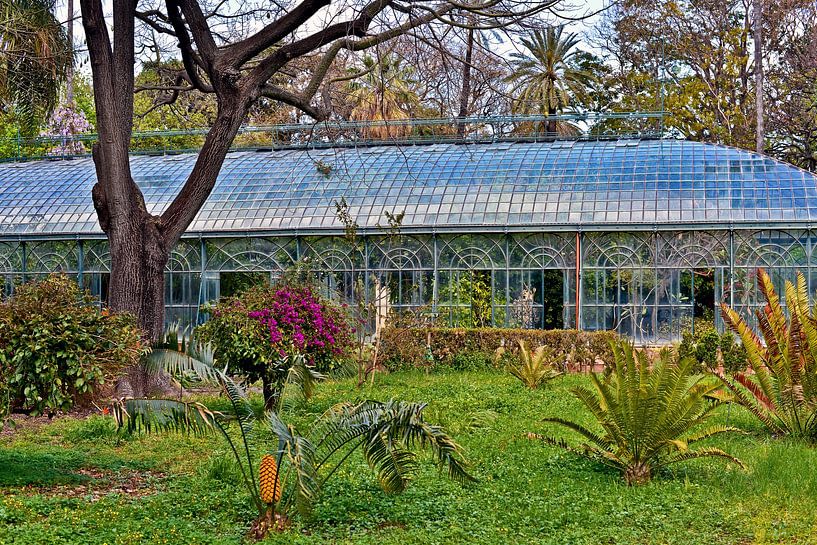 Jardin botanique de Palerme par Silva Wischeropp