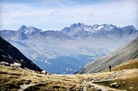 Weiter Blick  vom Timmelsjoch in die Stubaier Alpen