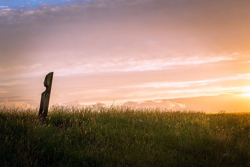 Die Deiche von Pascal Raymond Dorland