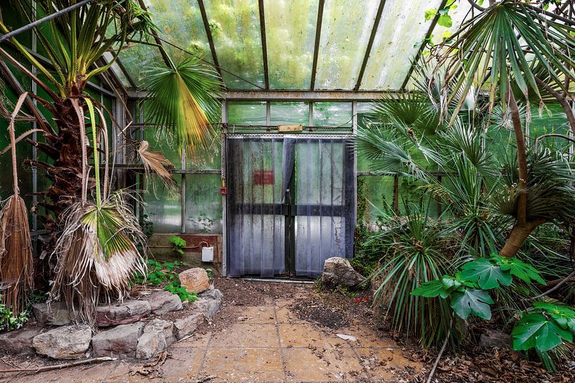Serre abandonnée, Angleterre par Gentleman of Decay