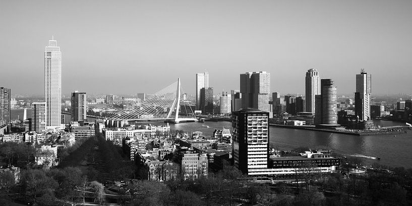 Rotterdam Skyline (noir et blanc) par Clint Steegman