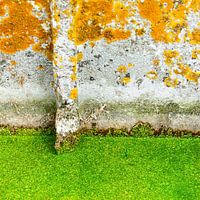 Abstrakter Rost mit Unkraut